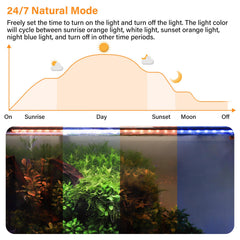Hygger RGB full-spectrum demo illustrating plant and fish color rendering