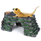 Hygger Zoo 3in1 basking platform top view for natural heat basking and easy climbing