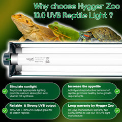 Hygger Zoo T8 fixture mounted inside terrarium for stable lighting.