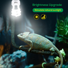 Hygger zoo UVB bulb natural spectrum glow enabling a more natural terrarium environment.