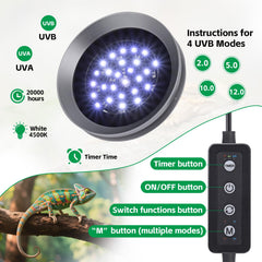 Hygger zoo UVB light on bearded dragon setup shows UV exposure for healthy activity.