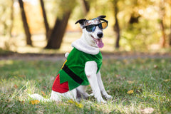 Hying pet winter coat Christmas keeps small pets warm during events.