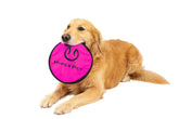 Hyper Pet Flippy Flopper 9in frisbee in flight for outdoor fetch.