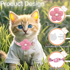 HYQHYX breakaway kitten collar featuring a quick-release buckle for safety.