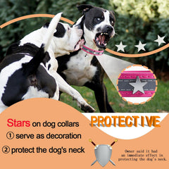 HYQHYX Reflective Collar star-decor adds cute style and neck protection