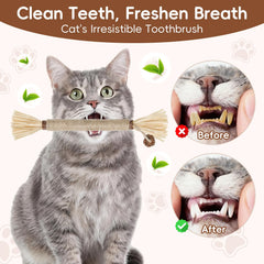 HYSDBAGS catmint enriched sticks – kitten-friendly teething and exploration toy.