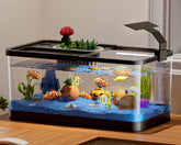 HYUVCX 5.3 gallon fish tank front view for immersive viewing and easy setup