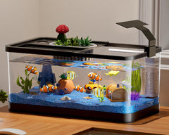 HYUVCX 5.3 gallon fish tank front view for immersive viewing and easy setup