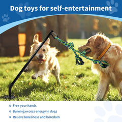 IAIGOGO outdoor dog toy shows the stable ground stake securing the play area.