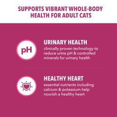 IAMS Proactive Health serving bowl emphasizes daily feeding for adult cats