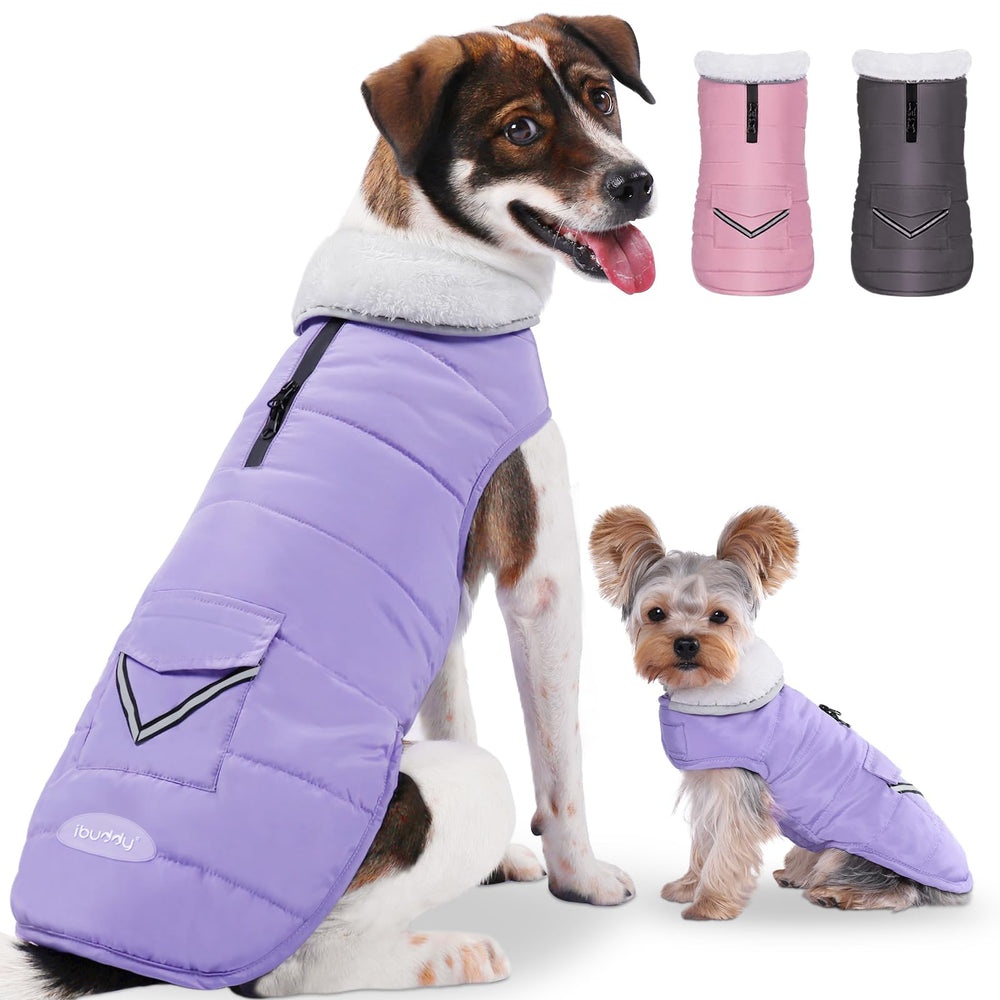 ibuddy dog winter coat warmth keeps large dogs cozy during cold walks