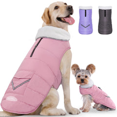 iBuddy dog winter jacket front view shows snug fleece lining and waterproof shell for warmth