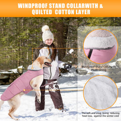 iBuddy dog winter jacket harness hole enables easy leash attachment