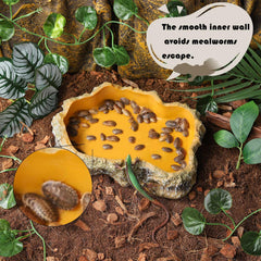 IBWell reptile dish with smooth inner wall simplifies cleaning after feeding