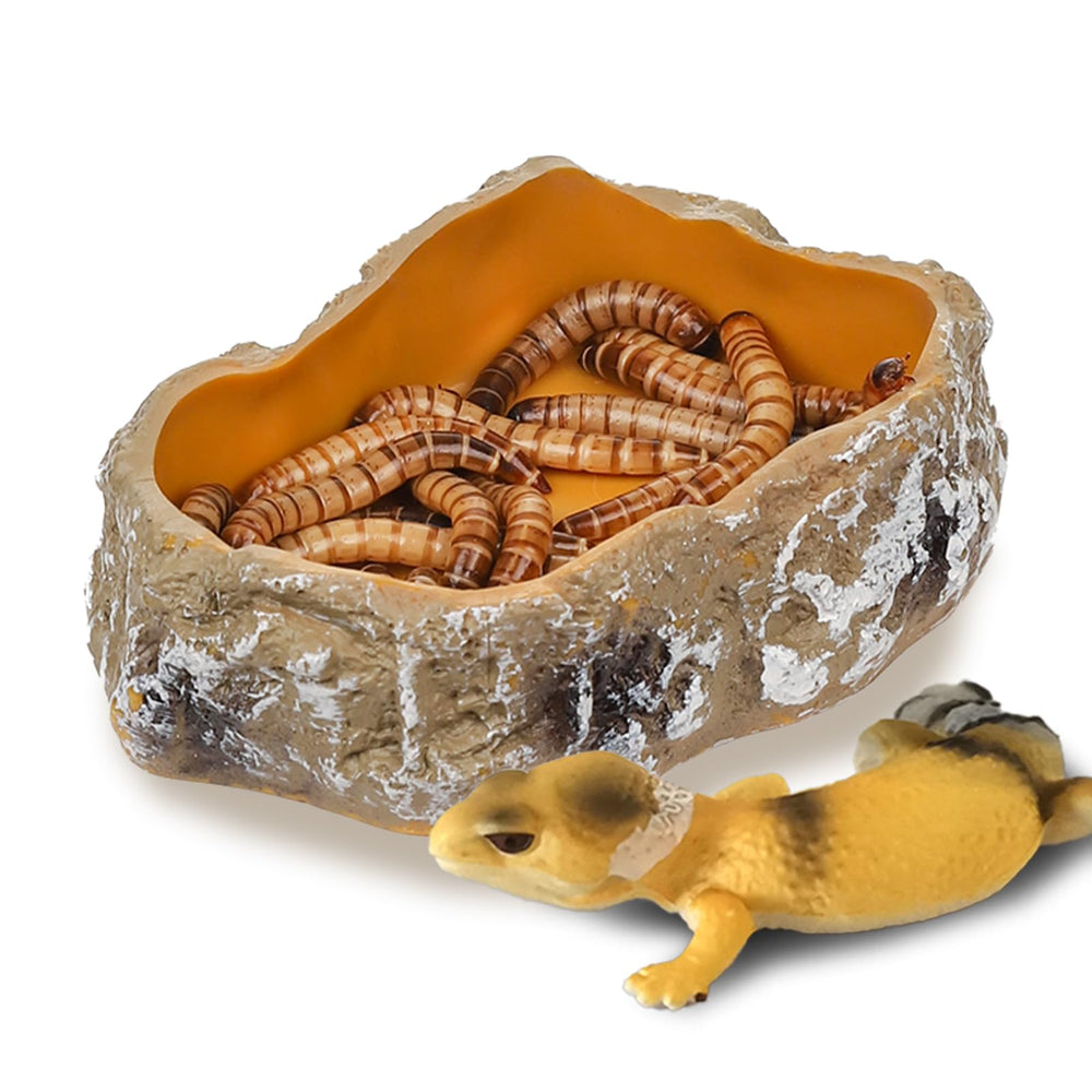 IBWell reptile food dish with stone texture blends into terrarium for durable daily use