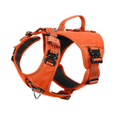 ICEFANG GN8 harness front view in orange demonstrates secure fit for training sessions