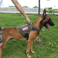 ICEFANG Tactical harness front-clip anti-pull demonstrates improved front-control during walking.