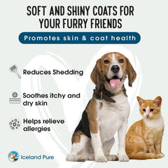 Iceland Pure Wild Alaskan Salmon Oil immune system support in pets