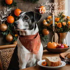 ICEMOOD Thanksgiving bandana ideal for festive walks and photos.