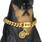 iDofas gold Cuban-link dog collar 10mm shines for luxury daily wear