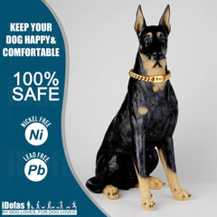 iDofas secure buckle on dog collar enables quick on/off