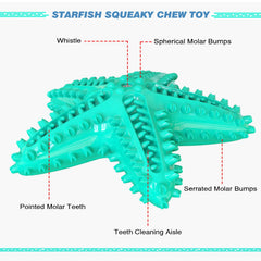 IDOLPET blue rubber starfish toy showing safe material for chewing