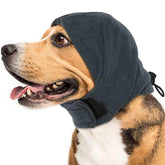 IDOMIK dog calming hoodie worn on a relaxed dog for protection