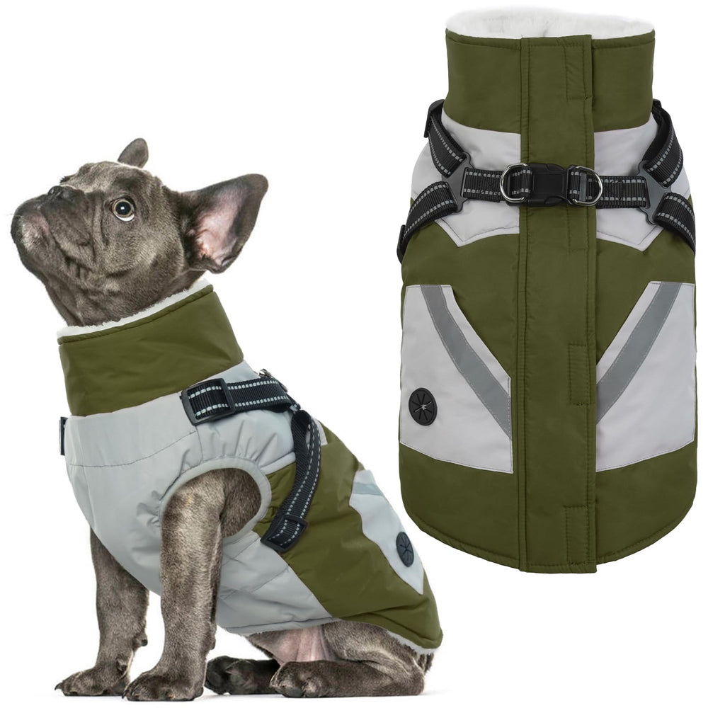 IECOii dog coat with harness built in, front view showing secure fit for chilly walks