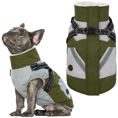 IECOii dog coat with harness built in, front view showing secure fit for chilly walks