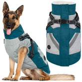 IECOii large turquoise waterproof dog coat with built-in harness for dry winter walks.