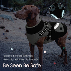 IECOii dog coat reflective straps boost visibility during night walks