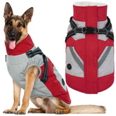 IECOii dog coat XXL front view shows warm, waterproof protection for cold weather walks.
