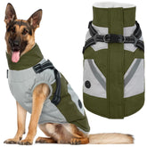 IECOii dog jacket back view shows XXXL warmth for cold-weather walks.