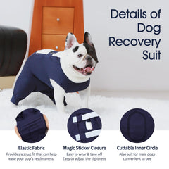 IECOii Dog Recovery Suit worn on a dog during walk shows freedom of movement.