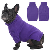 IECOii dog sweater medium front view offers cozy warmth for winter walks