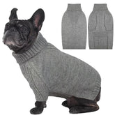 IECOii dog sweater medium L neck close-up highlights warm turtleneck comfort for winter walks