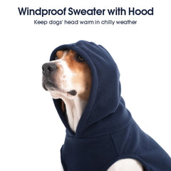 IECOii leash hole feature simplifies outdoor walks with your dog securely