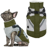 IECOii dog winter coat green front view keeps medium dogs warm on brisk walks