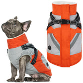 IECOii dog winter coat orange back view with waterproof outer fabric for rain.