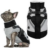IECOii dog winter coat waterproof back view keeps medium dogs dry in snow