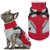 IECOii dog winter coat waterproof red medium for cold-weather protection on walks