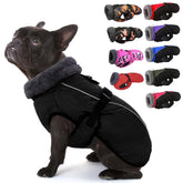 IECOii Extra Warm Coat buckle closeup demonstrates secure fit for daily walks.