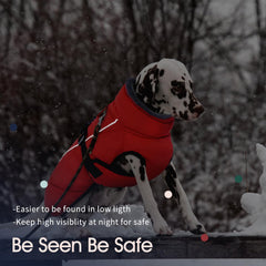 IECOii Extra Warm Dog Coat with buckle closure for easy on/off during outdoor activities.