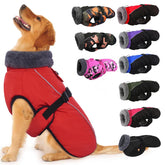 IECOii Extra Warm Dog Coat front view with reflective trim for safe evening walks.