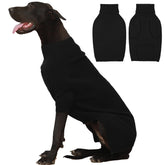IECOii extralarge dog sweater front view in black delivers warm, comfortable coverage for giant breeds.