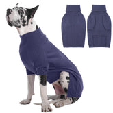 IECOii Great Dane Sweater front view shows a warm knit for cold-weather walks