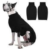 IECOii Great Dane sweater front view offers cozy warmth for winter walks