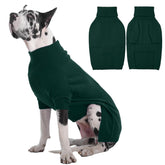 IECOii Great Dane Sweater on a dog with a cozy pullover fit for cold days.