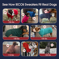 IECOii Great Dane Sweater turtleneck closeup showcases snug neck warmth