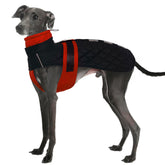 IECOii Greyhound Coat front view in snow showing warm fleece and wind barrier
